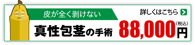 まったくむけないタイプ 真性包茎88,000円