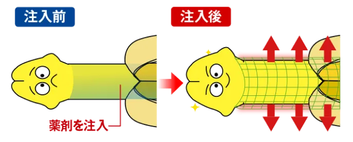 パートナーとのセックスライフが充実